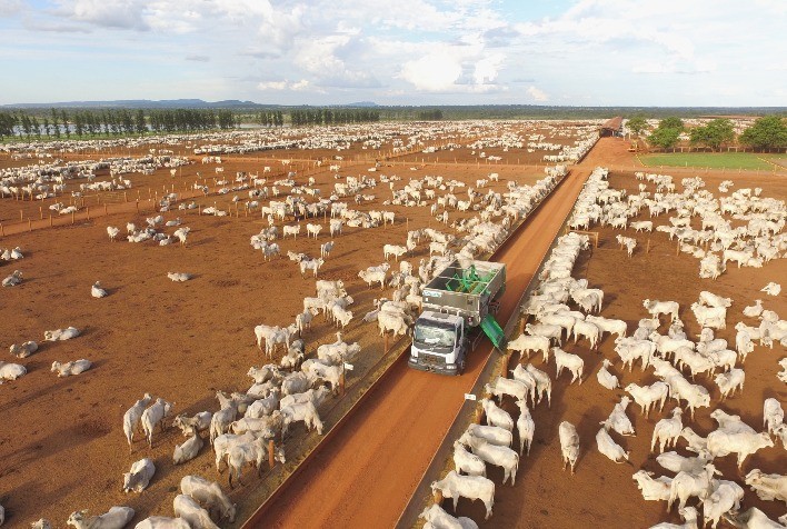Casale faz parte da segunda edição da Confina Brasil, expedição que busca mapear a realidade da pecuária de corte no Brasil