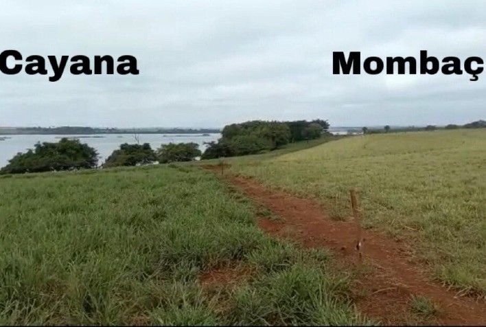 Agropecuarista de Itumbiara (GO) atesta ótimos resultados com uso da Brachiaria Cayana da Barenbrug