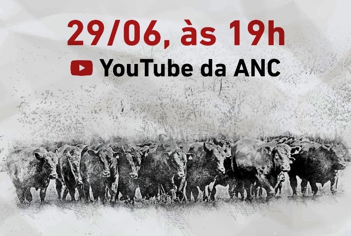 Sumário de Touros ganha versão digital