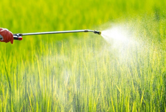 Defensivos x fertilizantes: equilíbrio entre substâncias garante alimentos mais saudáveis à população