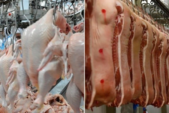 Sem tarifas de importação, comércio internacional das carnes suína e de frango cresceria até 40%