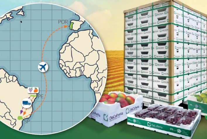 Soluções de embalagens DaColheita contribuem para a redução da pegada ambiental no transporte de frutas