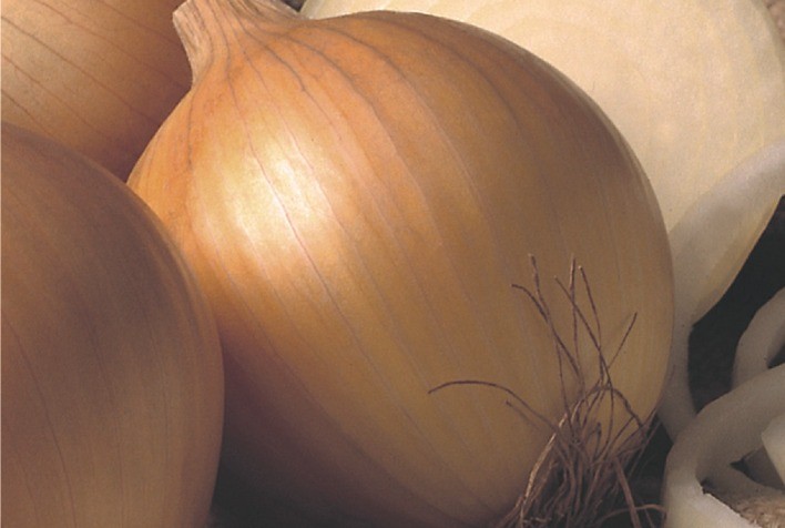 Cebola: Preços têm leve redução no Cerrado