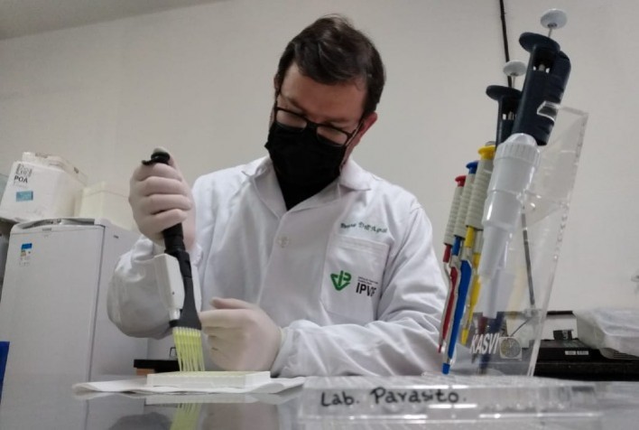 Pesquisadores da SEAPDR sequenciam os primeiros genomas brasileiros do agente causador da anaplasmose bovina