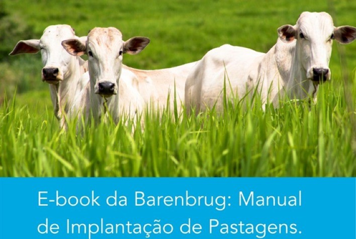 Planejamento: A teoria provada na prática