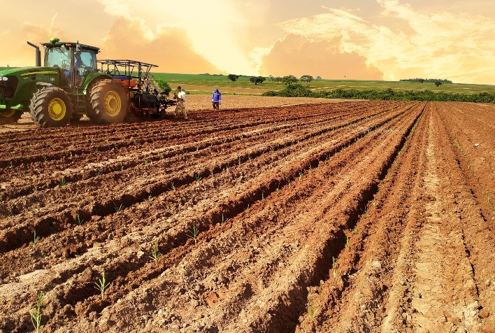 Startup realiza o plantio 20 milhões de mudas pré-brotadas de cana na safra 2021/22