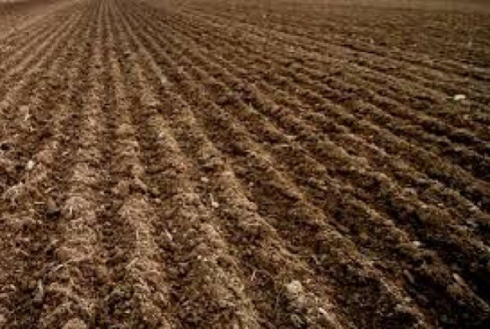 RS vai adotar vazio sanitário na safra 2022/23