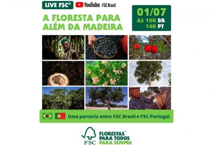 FSC® Brasil e FSC Portugal promovem live sobre crescente mercado de produtos florestais não madeireiros