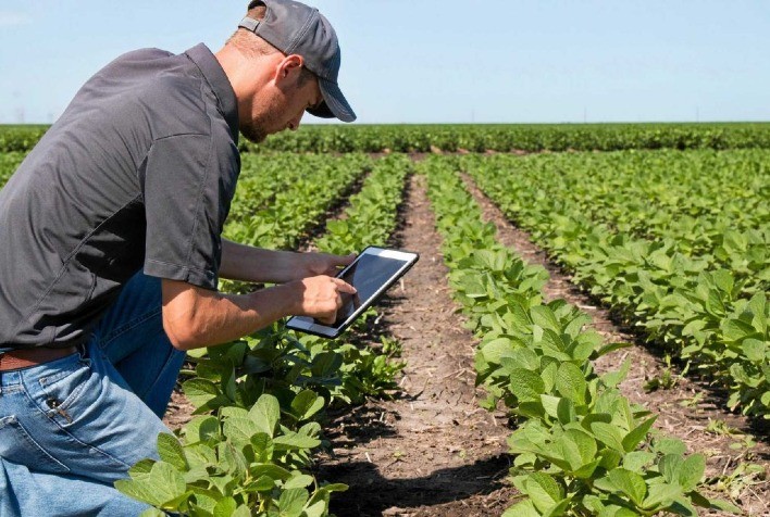 Ferramenta quer controlar a fertilização