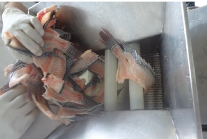 Considerada uma tecnologia disruptiva, Carne Mecanicamente Separada de pescado une melhor aproveitamento e promoção da alimentação saudável