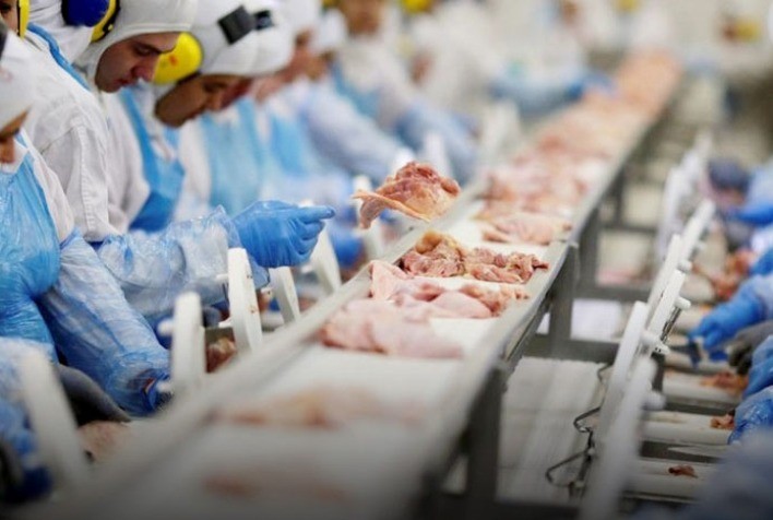 Indústria de carnes do Paraná eleva capacidade