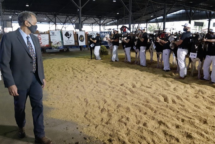 Gadolando confirma participação da raça Holandesa na Expointer 2021