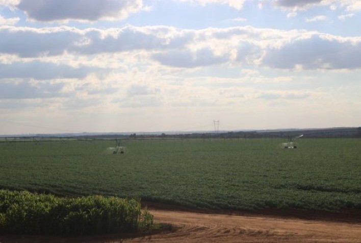 Irrigação: Investimento em pivô faz agricultor quadriplicar produtividade em grãos e HF