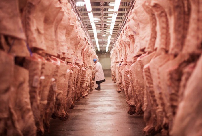 Exportações brasileiras de carne bovina crescem 9,7% em junho