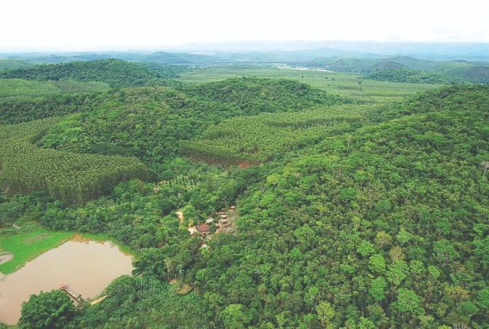 Estudo avaliou a sustentabilidade das concessões florestais brasileiras