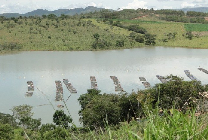 Estudo revela limitações e novas abordagens para o monitoramento da qualidade de água em pisciculturas no Brasil