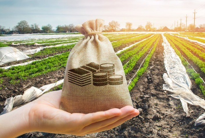 FINANCIAMENTO: Aplicação do crédito rural ultrapassa R$ 271 bilhões ao final da temporada 2020/2021