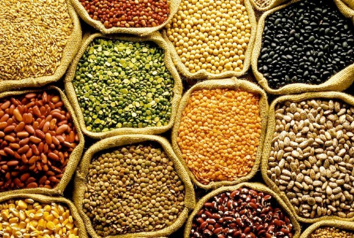 Conab aponta para produção estimada de grãos em 260,8 milhões de toneladas na safra 2020/2021