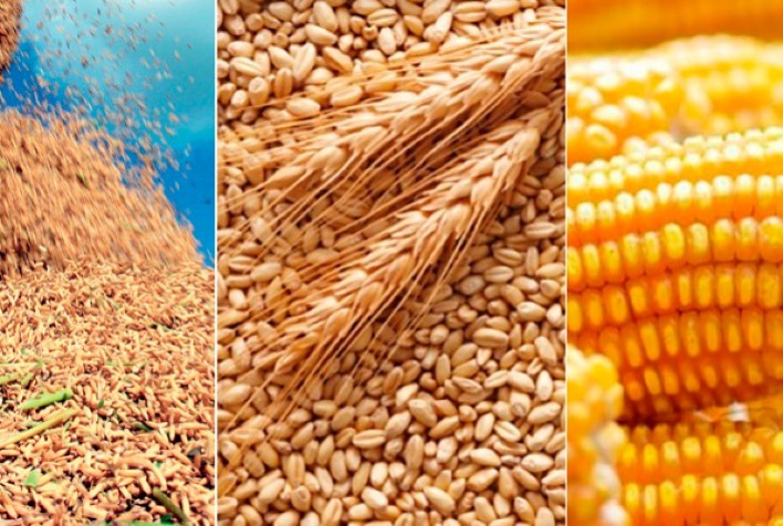 Em junho, IBGE prevê safra de 258,5 milhões de toneladas para 2021