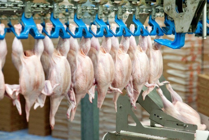 Carne de frango: exportação do 1º semestre foi recorde para o período