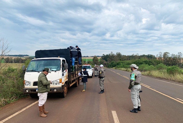 Programa Sentinela da SEAPDR comemora um ano com a fiscalização de cerca de 30 mil bovinos e quase 3 mil ações de educação sanitária