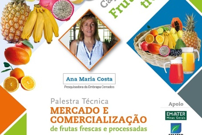 Mercado e comercialização de frutas é tema de palestra on-line nesta terça (13)