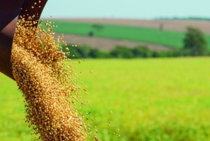 Soja tem leves altas à espera do novo USDA nesta 2ª feira e de olho no clima dos EUA