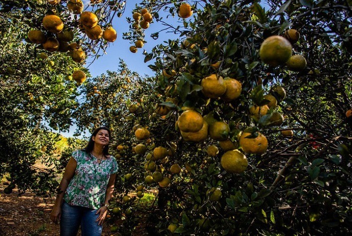 SENAR recebe inscrições para processo seletivo de Cursos Técnicos até 16 de julho
