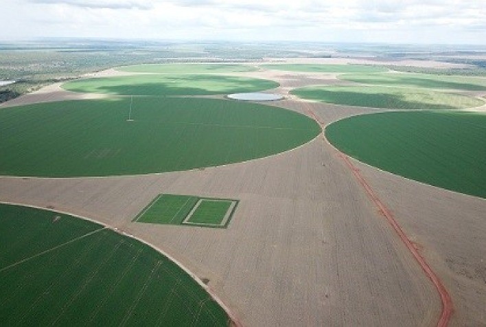 Parceria fortalece uso de biodefensivos na agricultura do Cerrado