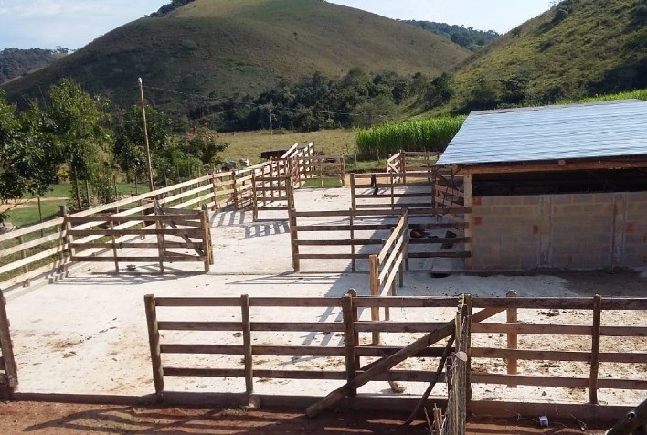 ATeG: Propriedade saiu do prejuízo para lucratividade de 31% em relação à renda bruta da atividade