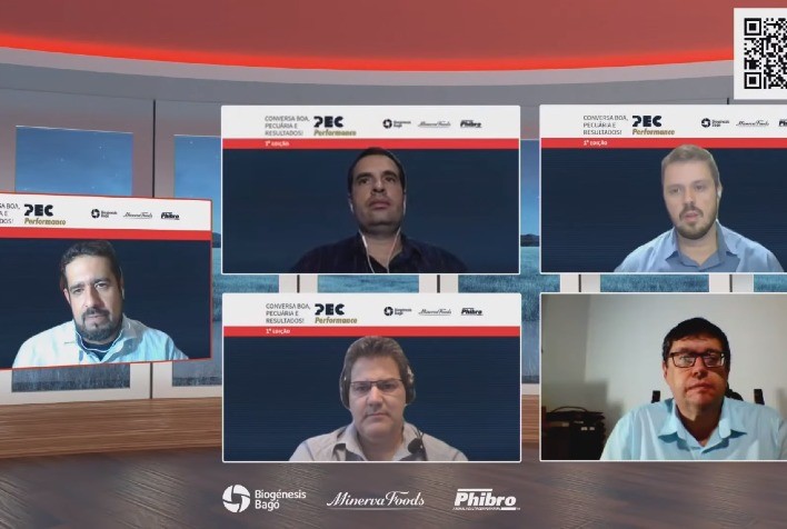 Programa de Eficiência de Carcaça (PEC) já abateu 72,5 mil bovinos, em 2021