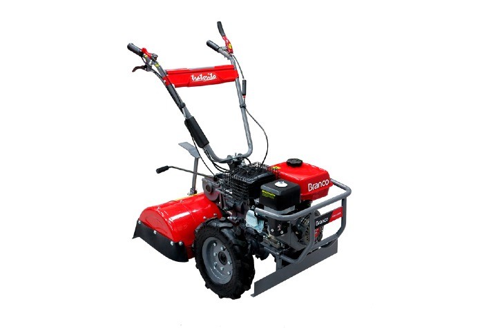 Com a chegada do inverno, entenda quais cultivos são mais vantajosos e os cuidados necessários neste período do ano