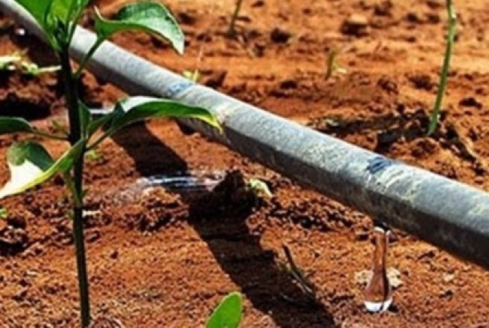 Produtividade da água: entenda na prática como a irrigação inteligente pode proporcionar altos rendimentos com economia de recursos