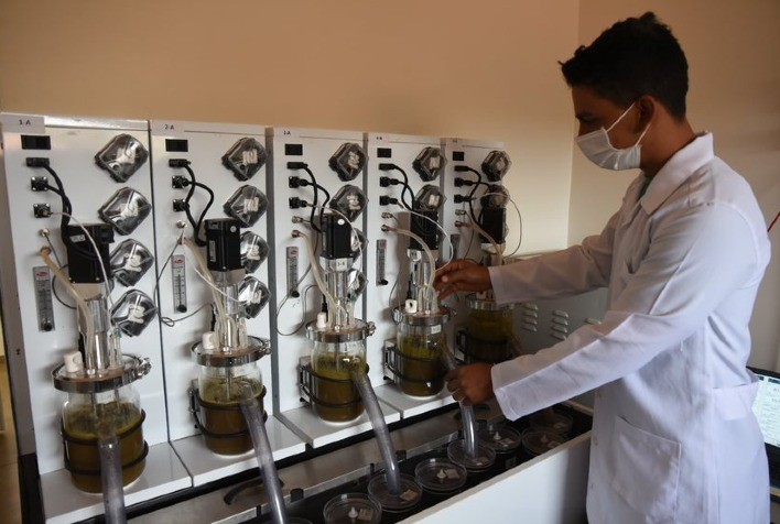 JBS faz parceria com Instituto de Zootecnia em pesquisa sobre redução de gases de efeito estufa na pecuária