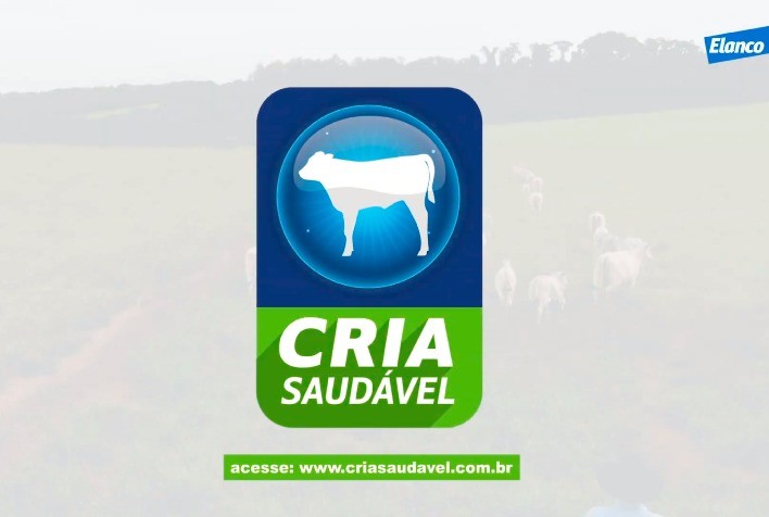 Elanco Saúde Animal lança Cria Saudável, plataforma de conhecimento especializado para pecuaristas