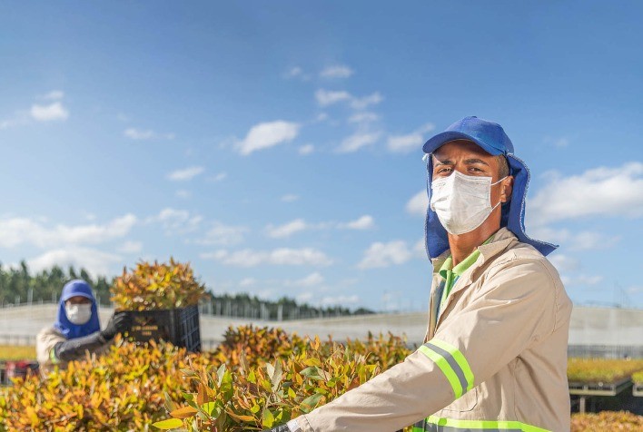 Bracell publica Relatório de Sustentabilidade 2020 com destaque para geração de emprego e ações de enfrentamento à pandemia