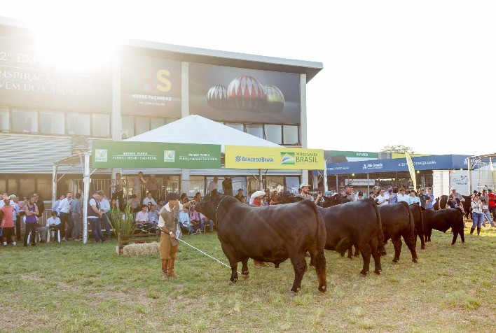 Angus e Ultrablack: Inscrições abertas para a Expointer 2021