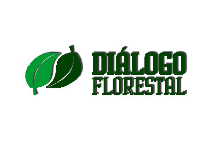 Suzano apoia a formação do Fórum Florestal da Amazônia