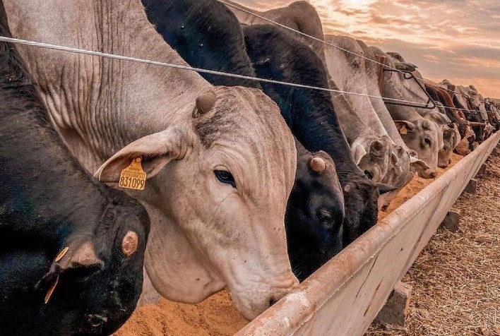 Inversões térmicas e doenças respiratórias são um desafio a mais no confinamento