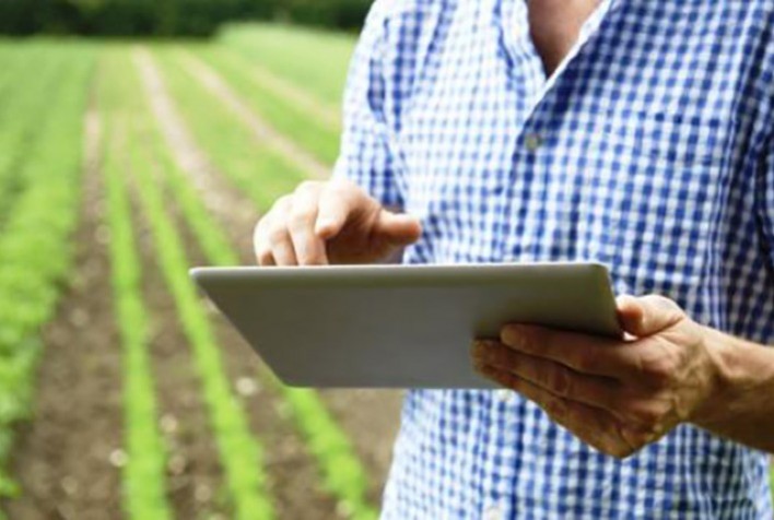 Proteção de dados no campo