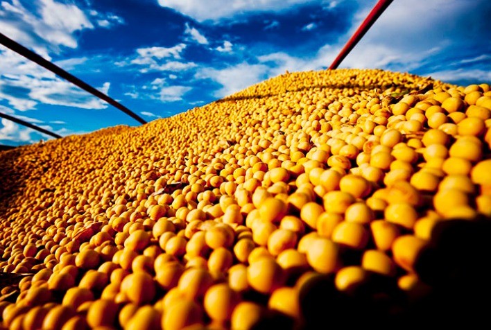 Soja volta a subir nesta 3ª e tem altas de mais de 1% com foco no clima para o Corn Belt