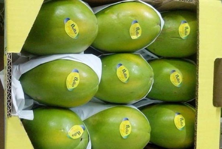 Mamão: Exportações recuam em junho