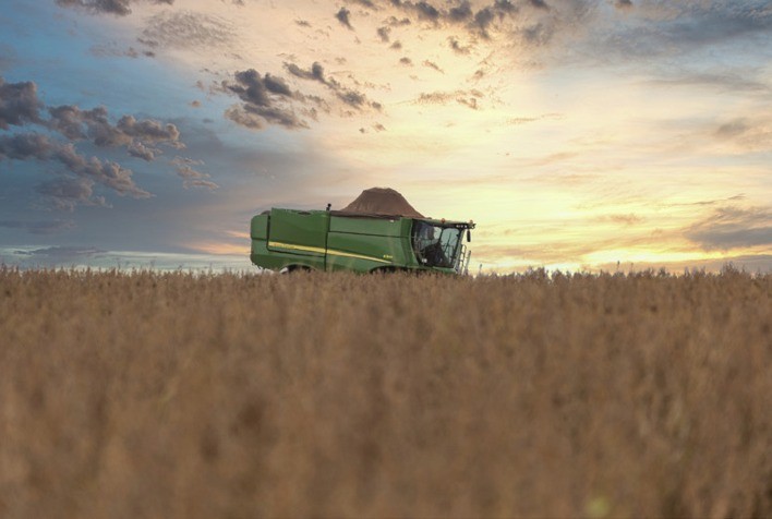 Soja na Bahia: produtividade em crescimento