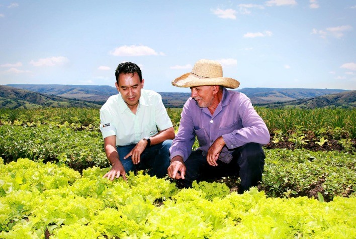 Semana da Agricultura Familiar em Minas tem webinários e lançamento de cartilha