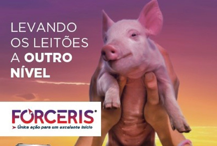 Uma nova estratégia no manejo da saúde dos leitões