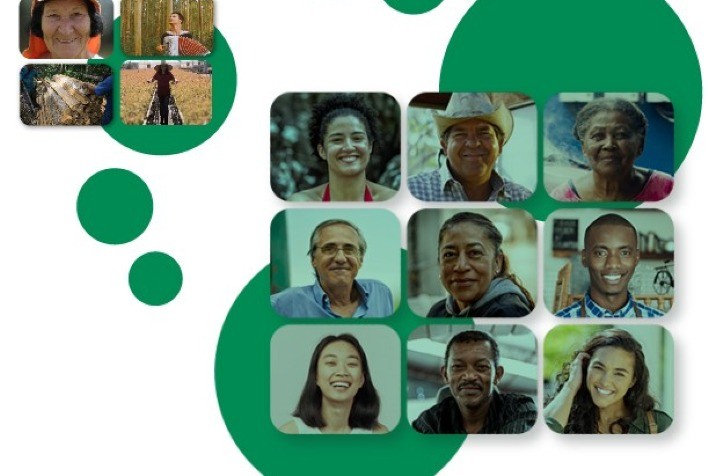 Ibá lança portal de conteúdo colaborativo do setor de árvores cultivadas chamado VerdiTimes