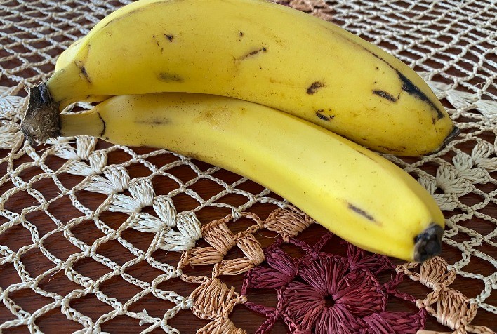 Nova publicação do Mapa mostra como evitar doença que pode comprometer cultivo da banana no Brasil