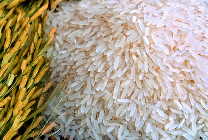 Preço do arroz sobe, acompanhando alta do dólar e de Chicago