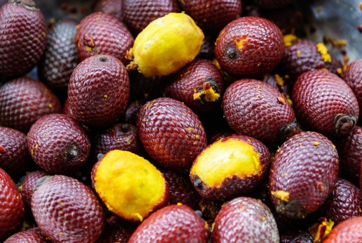 Frutas, castanhas e verduras nativas do Brasil estão em nova lista de espécies da sociobiodiversidade com valor alimentício