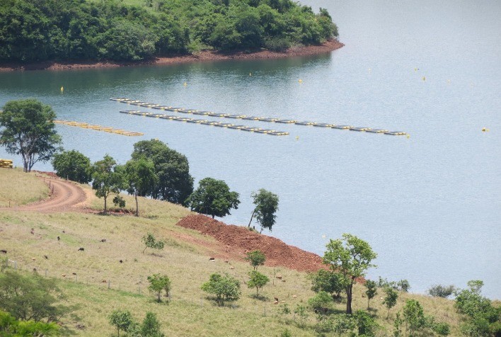 Estudo apresenta sistema para avaliar boas práticas de manejo na criação de tilápia em tanques-rede